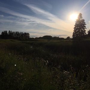 Meet your Posher, Kara